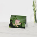 Search for buddhist cards Nature