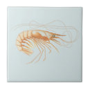 Search for ocean life tiles Seafood