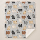 Search for pomeranian blankets Pets