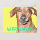 Search for dachshund easter cards Egg
