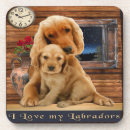 Search for labrador coasters Humor