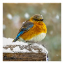 Search for winter scene posters Blue