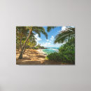 Search for palm canvas prints tropical
