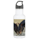 Search for horse water bottles Beautiful horses