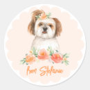 Search for shih tzu stickers Watercolor