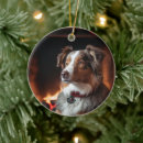 Search for australian shepherd ornaments Pet