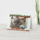 Search for ragdoll cat christmas cards Ragdolls