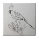 Search for cardinal tiles Animal