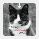 Search for cat memorial ornaments Merry christmas