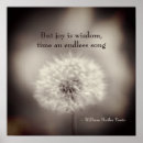 Search for dandelion posters Nature photography