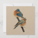 Search for hand painted watercolor cards Birds