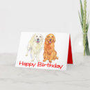 Search for red golden retriever Puppy