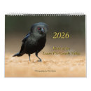 Search for bird calendars Photography