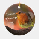 Search for robin ornaments Winter