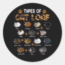 Search for cat doughnut crafts party Pet