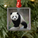 Search for panda bear ornaments Mammal
