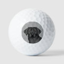 Search for labrador retriever golf balls Cute