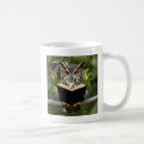 Search for owl gifts Forest
