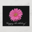 Search for post birthday cards pink