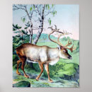 Search for vintage reindeer art Classic