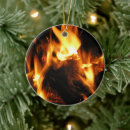 Search for fireplace ornaments Flame