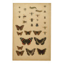 Search for vintage bee art Animals