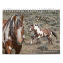 Search for mustang calendars Stallion