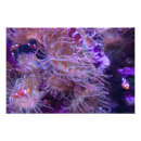 Search for extra large posters Colorful