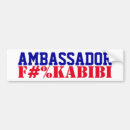 Search for ambassador Usa