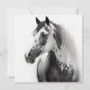 Search for horse note cards Dressage