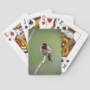 Search for hummingbird playing cards Green