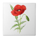 Search for red flower tiles Poppy