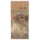 Search for squirrel gifts Wildlife