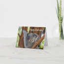Search for koala birthday cards Cute