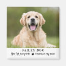 Search for pet memorial magnets Dog