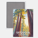 Search for sequoia national park magnets Usa