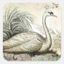 Search for swan stickers Elegant
