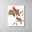 Search for cardinal painting canvas prints Nature