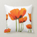 Search for poppy pillows Orange