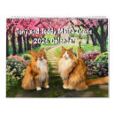 Search for maine calendars Cat