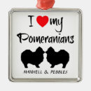Search for pomeranian ornaments Breed