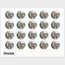 Search for photo stickers Classic