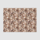 Search for coffee tissue paper Sugar