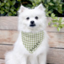 Search for plaid dog collars Gingham