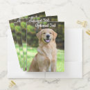 Search for red golden retriever Winter