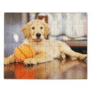 Search for golden retriever puzzles Cute