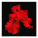 Search for 8x8 posters Floral