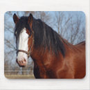 Search for horse mousepads Clydesdale
