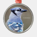 Search for bluebird ornaments Songbird
