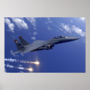 Search for eagle posters Flight